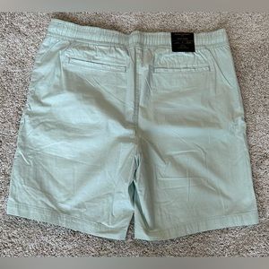 Men’s Banana Republic Deck Short (L) (Light Green)